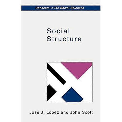 Social Structure (Concepts in the Social Sciences)