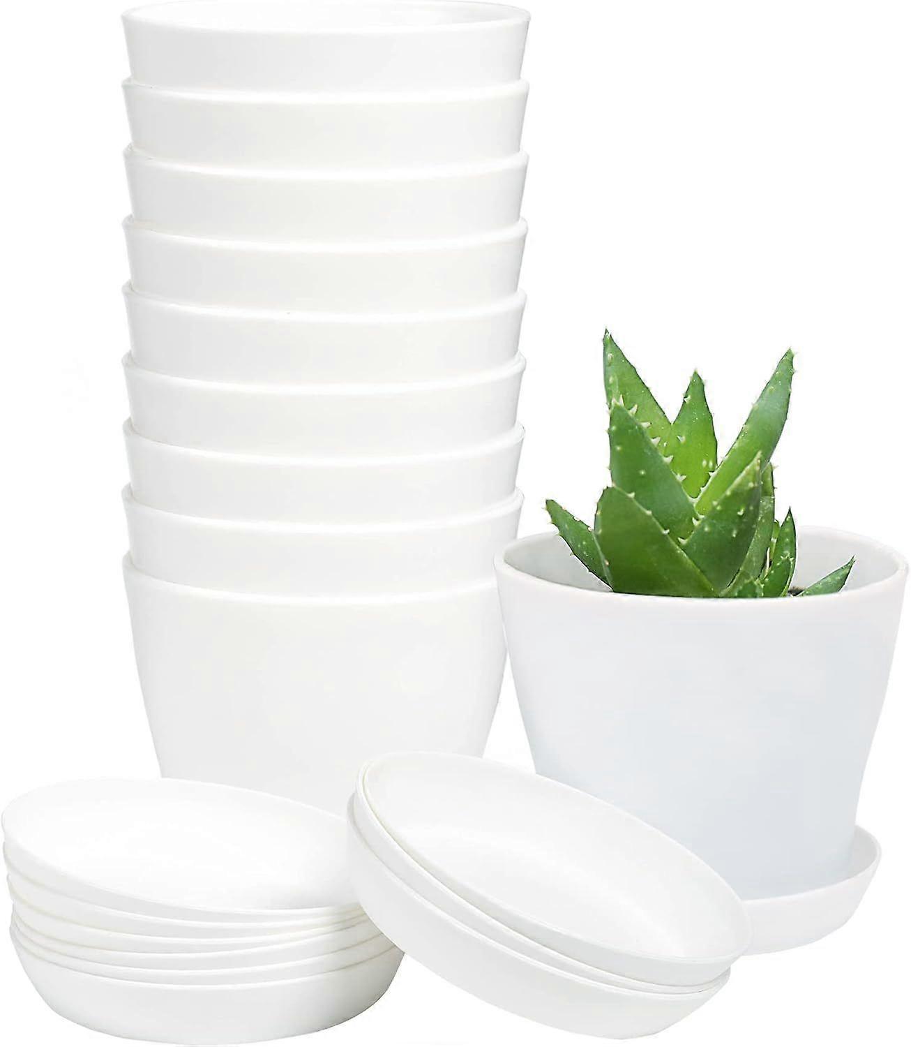10Pcs Mini Seedlings Flower Pot with Pallet