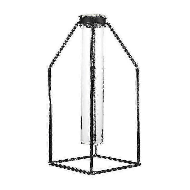 1pc Hydroponic Vase Decoration