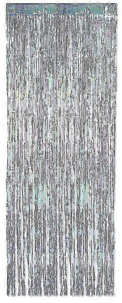 Iridescent Fringe Curtain