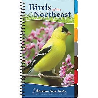 Birds of the Northeast Quick Guide