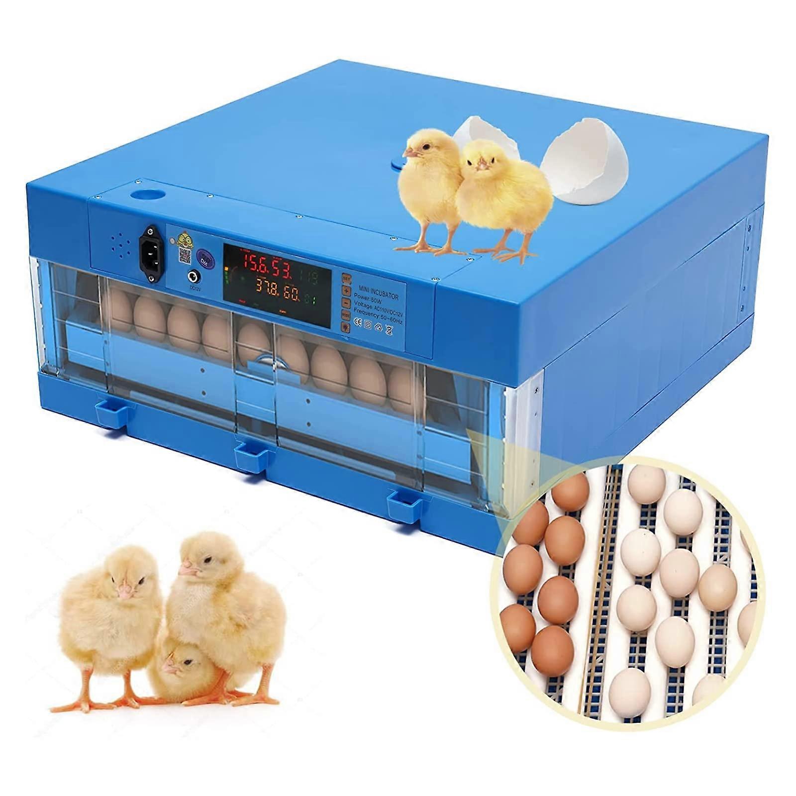 64 Egg Automatic Incubator with Egg Turning, Temperature and Humidity Control for Hatching