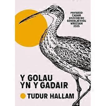 Y Golau yn y Gadair