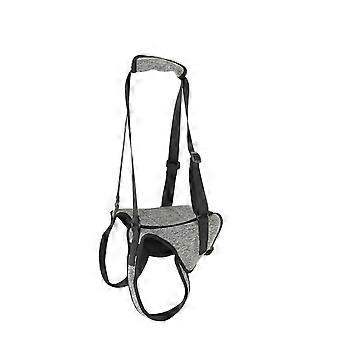 Harnais de levage pour pattes arrires de chien, support puissant, fermeture auto-agrippante, sangle rglable, sangle pour pattes arrires de chien, gris