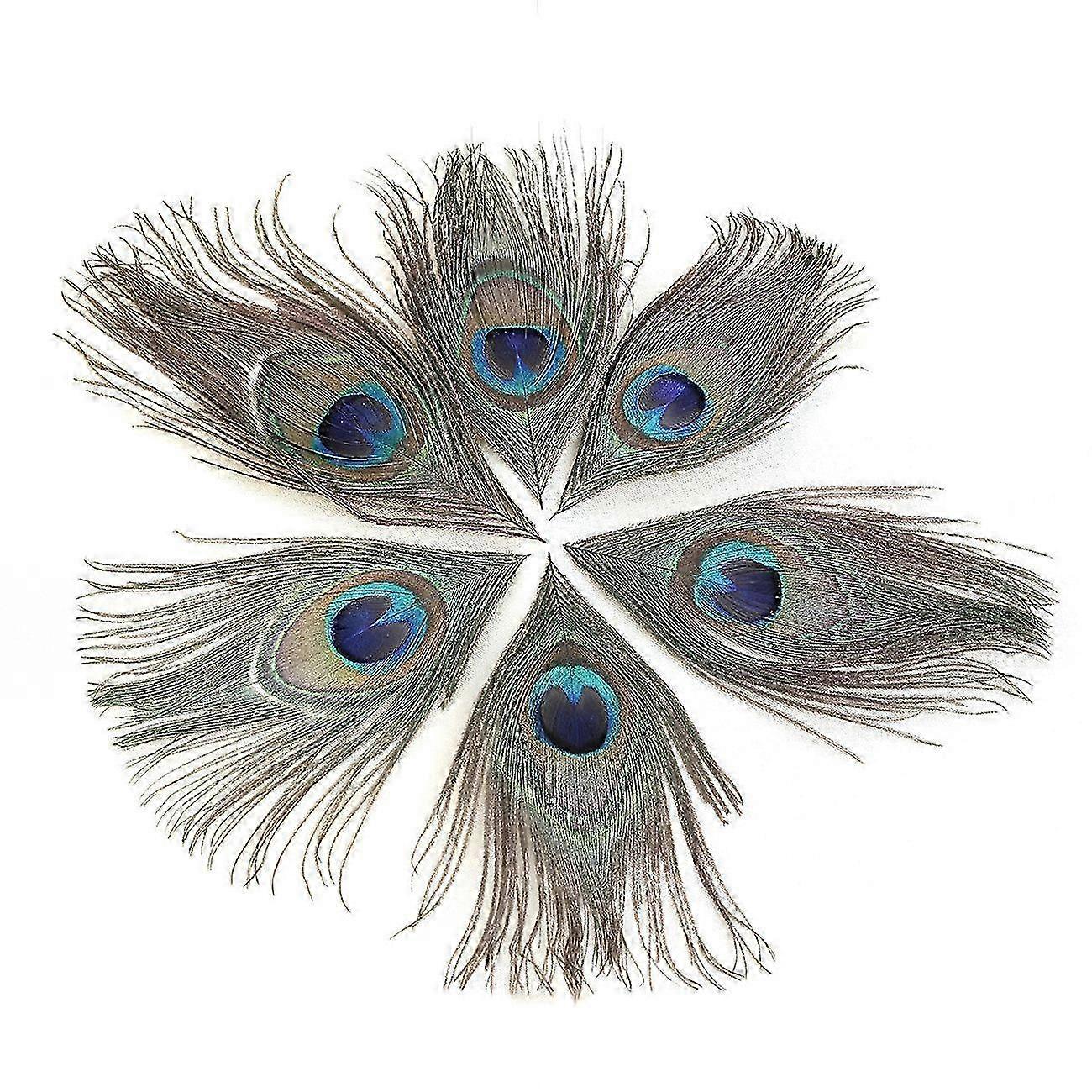 100pcs Elegant Eye Feathers 25-30cm Decor