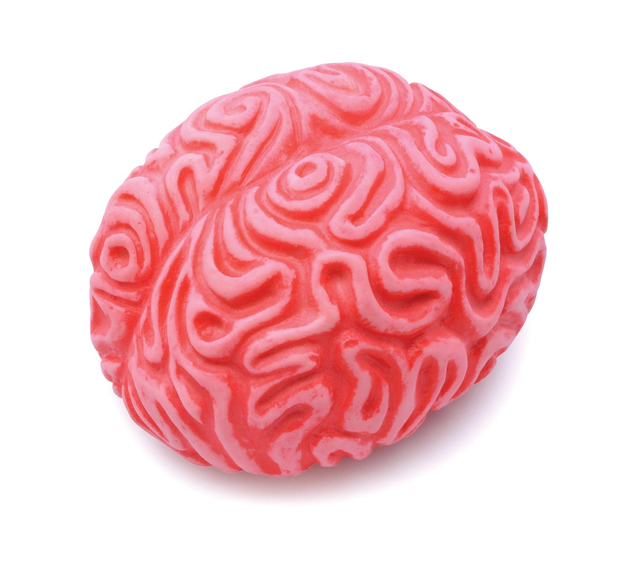Squeezy Brain General Jokes Unisex Gj442