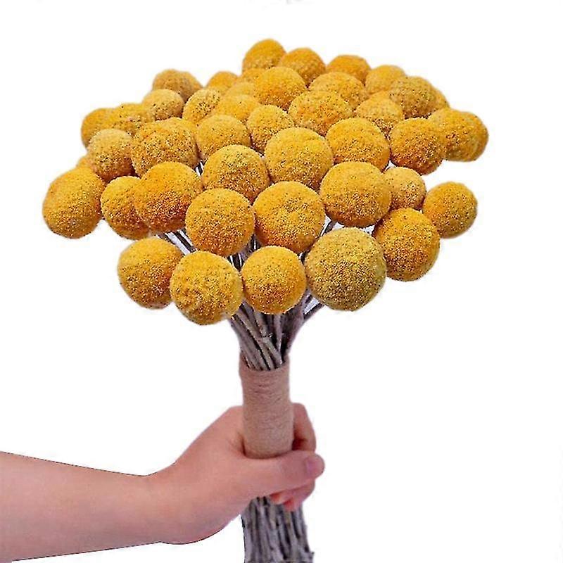 Natural Dried Flower Yellow Ball Bouquet Bunch, Real Freshly Harvested Dried Plant Bunch, Decoratio
