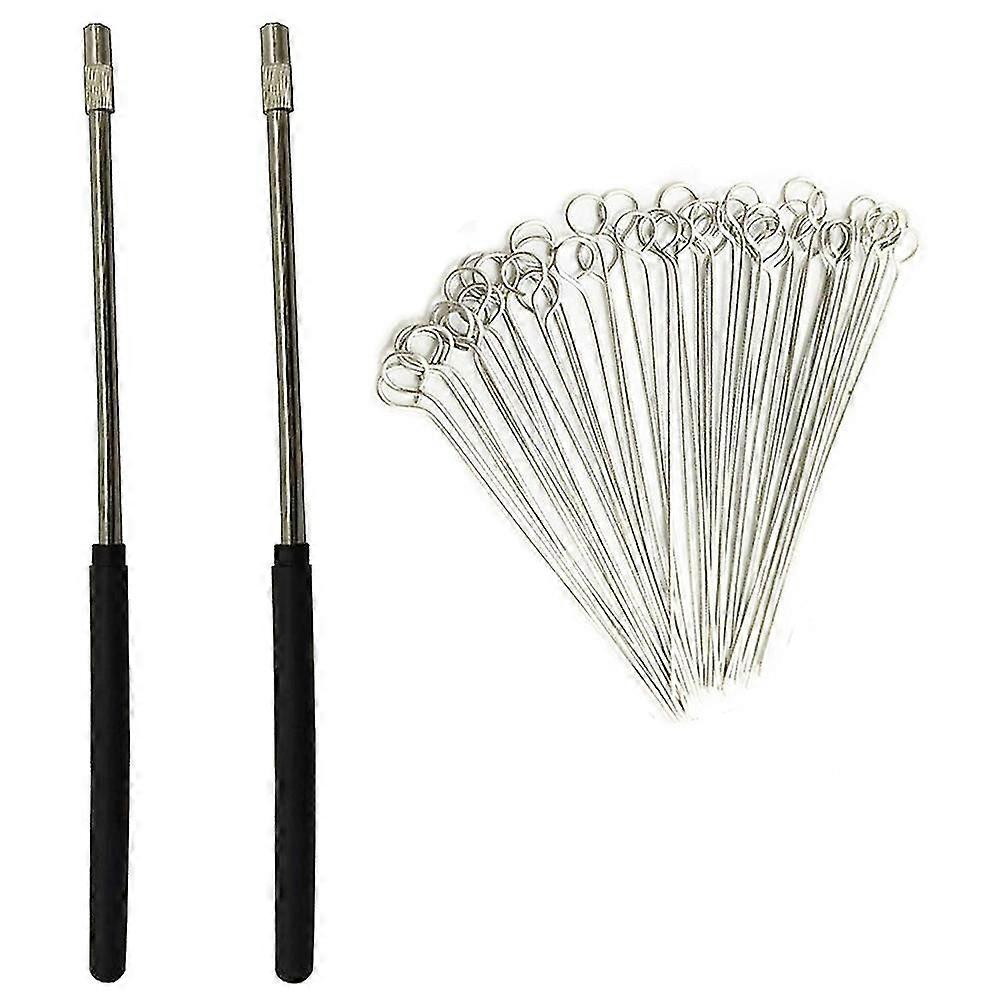 2pcs inoculating holders with 50pcs 10ul needle tips inoculation loop