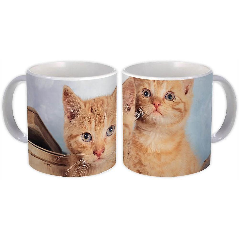 Gift Mug: Cat Animal