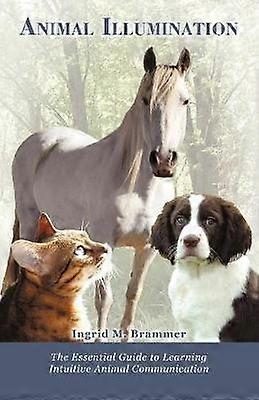 Animal Illumination The Essential Guide to Learning Intuitive Animal Communication