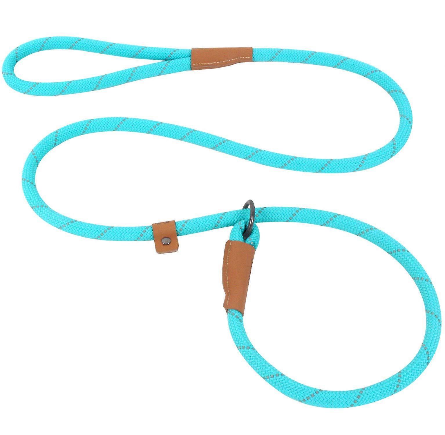 Reflective leash, 5 feet, for medium dog training