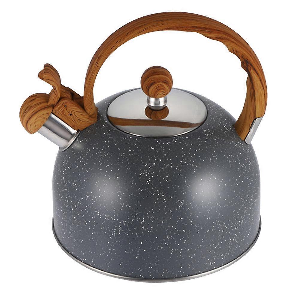 Stainless Steel Whistling Kettle with Heat Resistant Handle and Spout for Induction, Gas Stove – Flat Bottom Household Tea Pot for Easy Filling