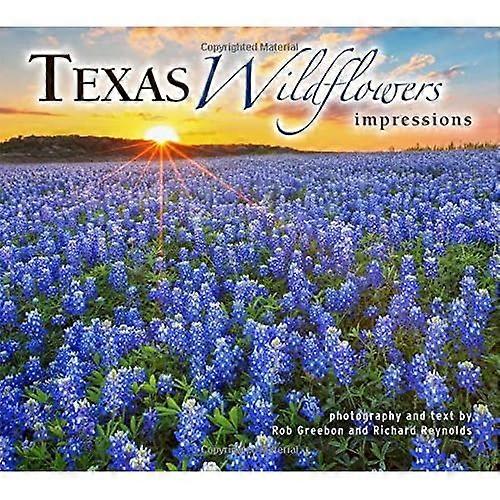 Texas Wildflowers Impressions