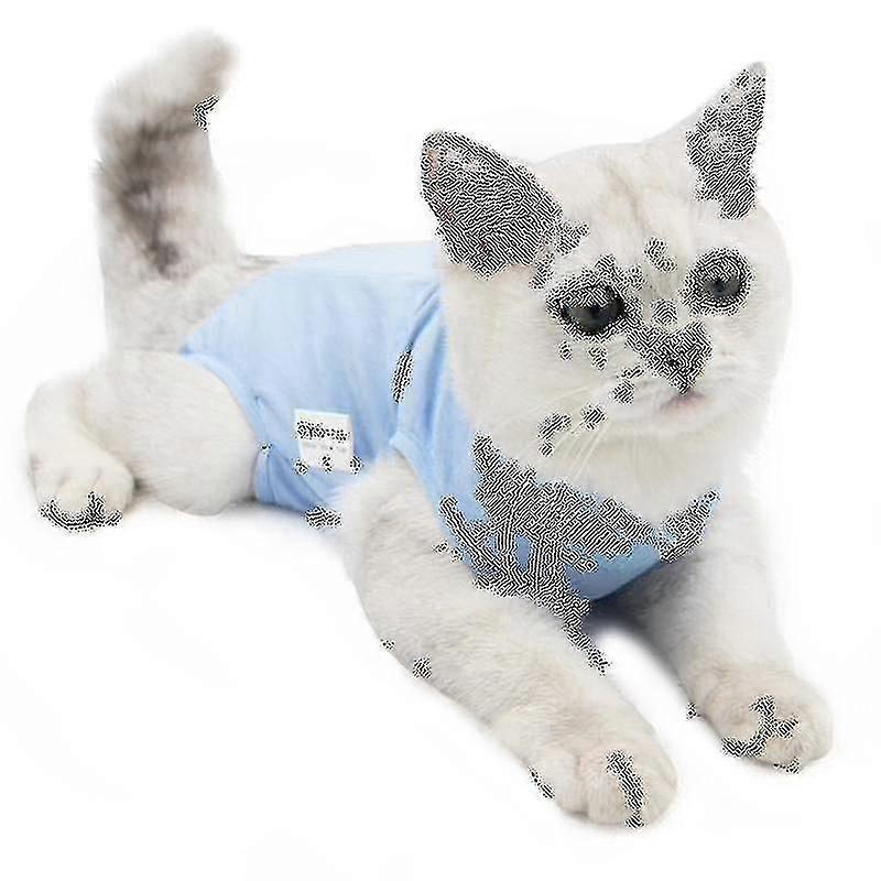 Kattkläder för efter operation Bär-CE