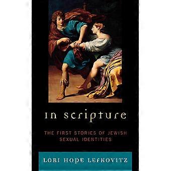 Nas Escrituras: As Primeiras Histórias das Identidades Sexuais Judaicas - Lori Hope Lefkovitz - Capa Dura - Livro em Inglês - História