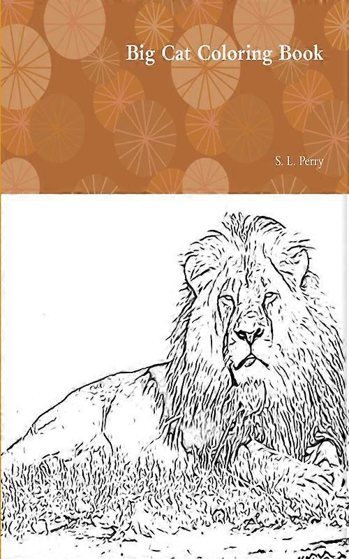 Big Cat Coloring Book