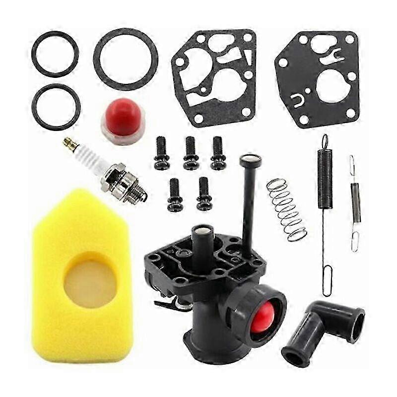 Vertical Engine Carburetor Service Kit