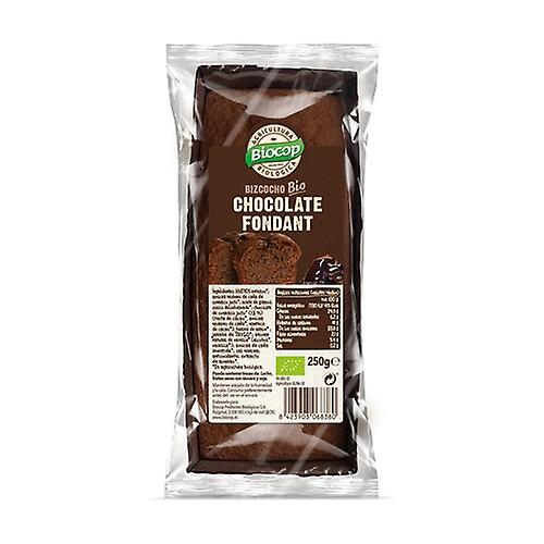 Bio fondant chocolate cake 250 g