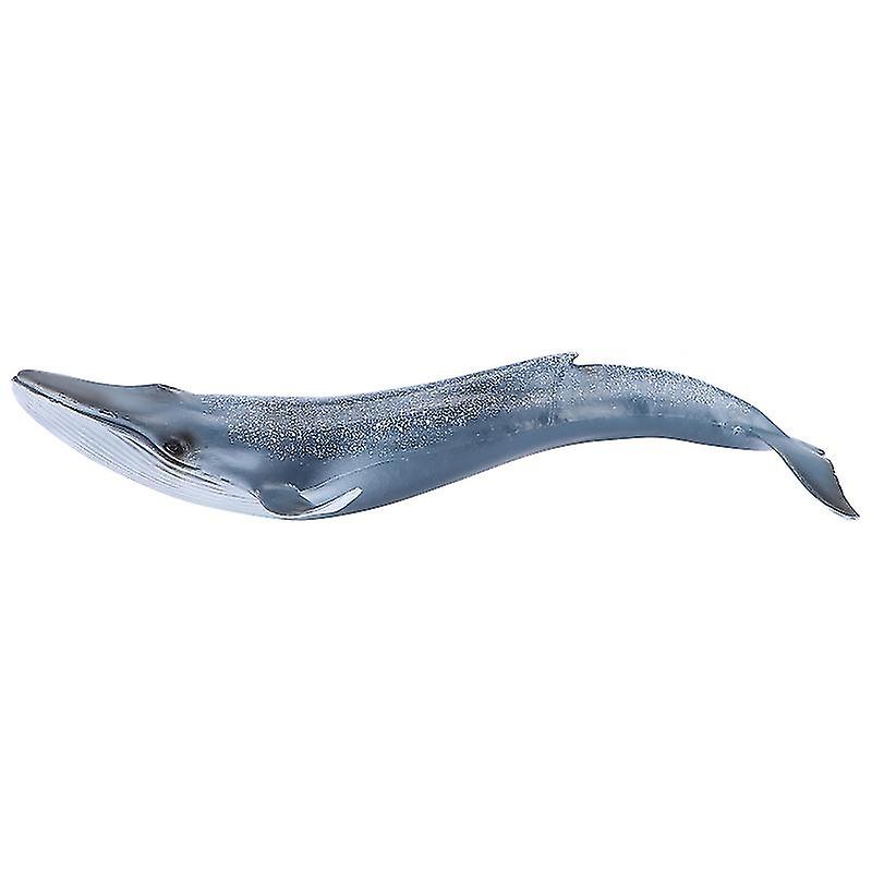 1pcs Whale Model