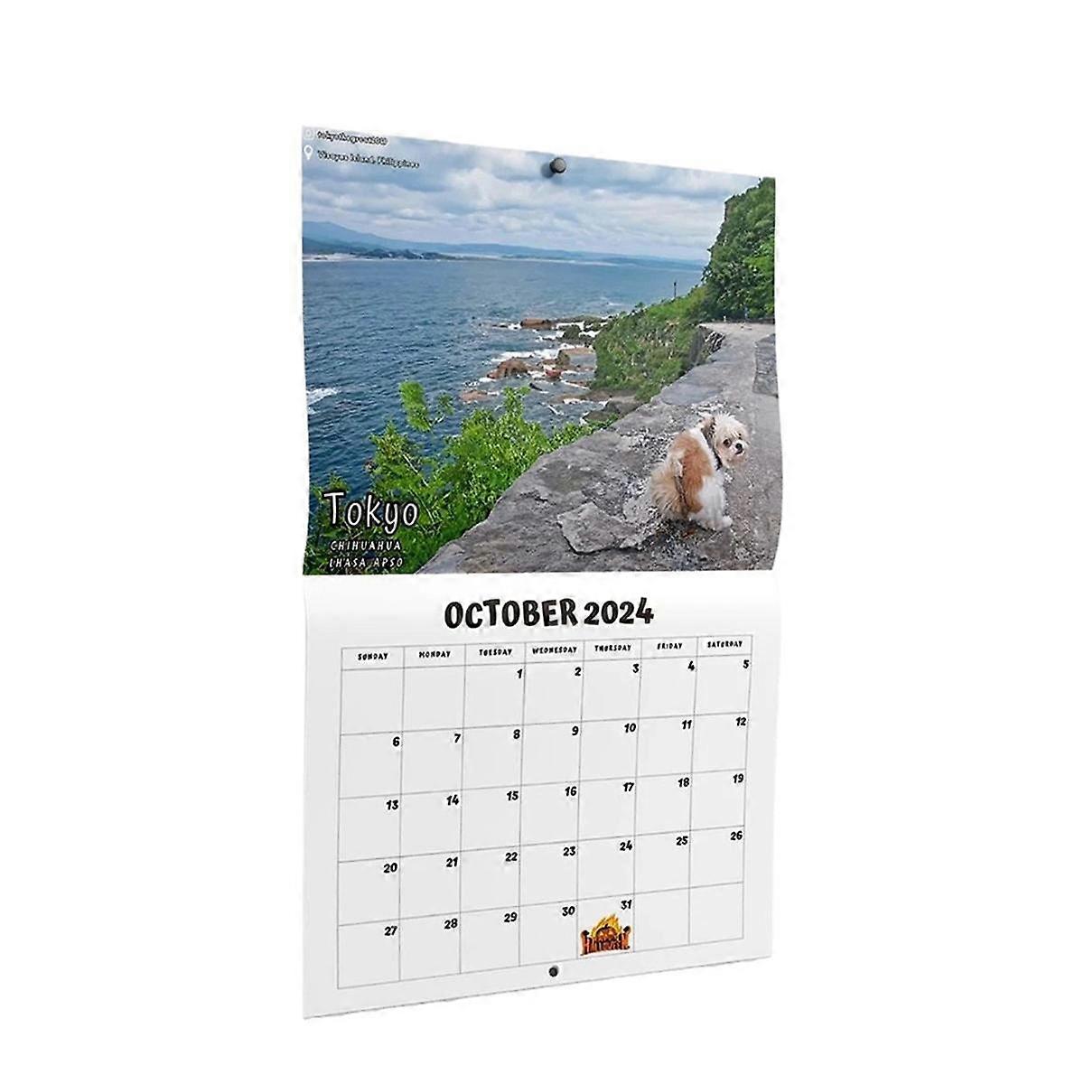 2024 Calendar Wall Calendar January 2024 From December 11x8.5 Inch Wall Art Gag Humor Prank Calenda