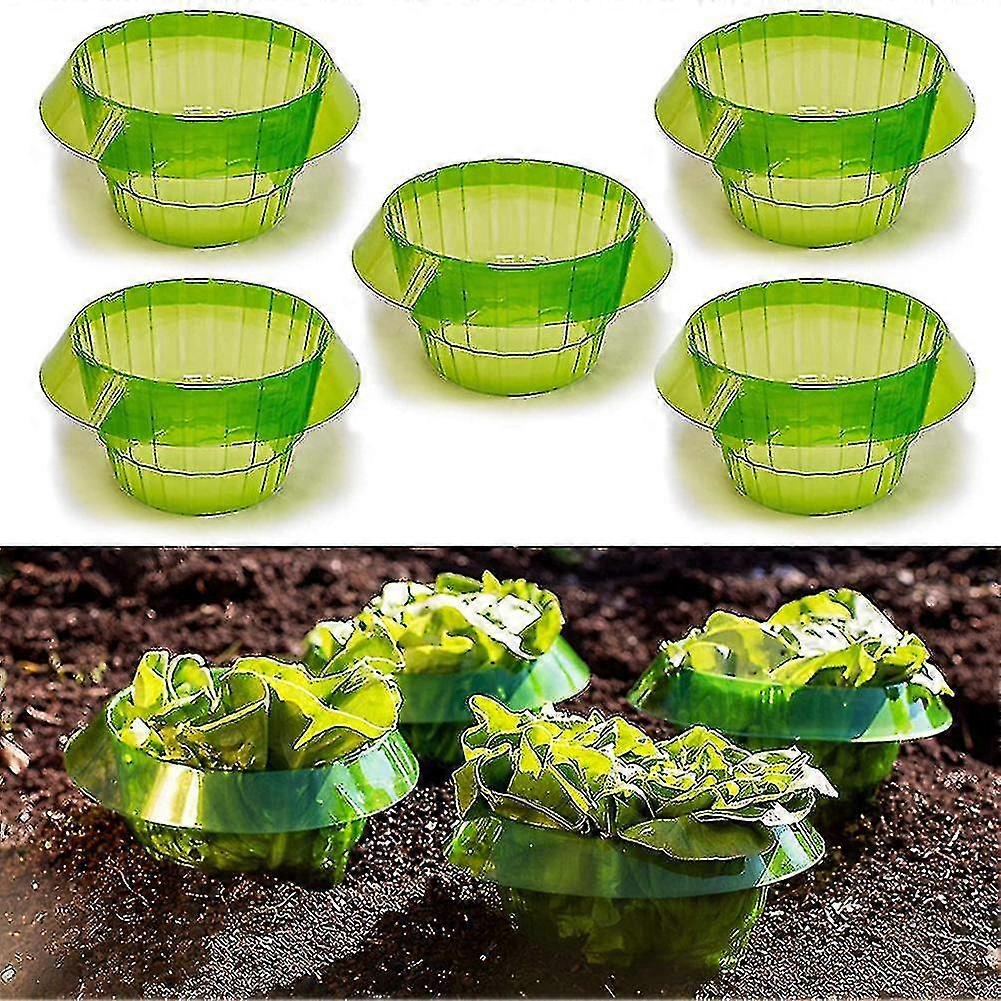 6PCS الخضروات سبيكة حماية يغطي نبات الحلزون طوق الحرس حديقة