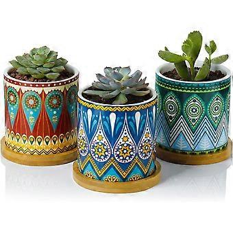 Succulent Planter Pots-3 Inch Small Ceramic Planters Plants Pots Mini  Flower Vase for Indoor Plants, Gifts Set of 3 | Fruugo NO