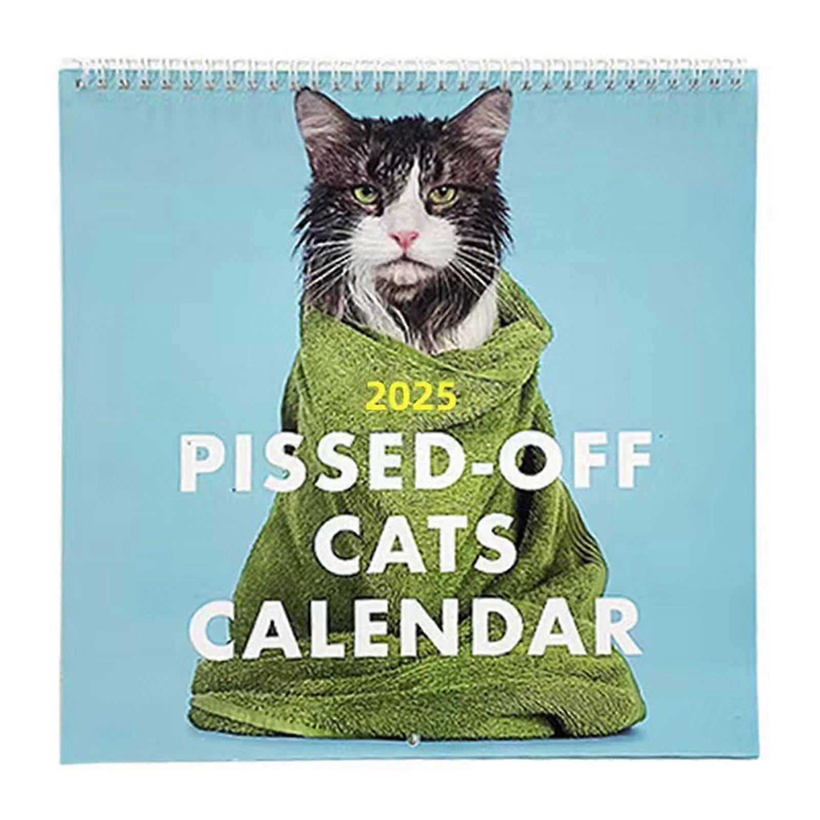 2025 Pissed-Off Cat Calendar Funny Cat Themed Wall Calendar Month to View Desk Calendar for Cat Lovers