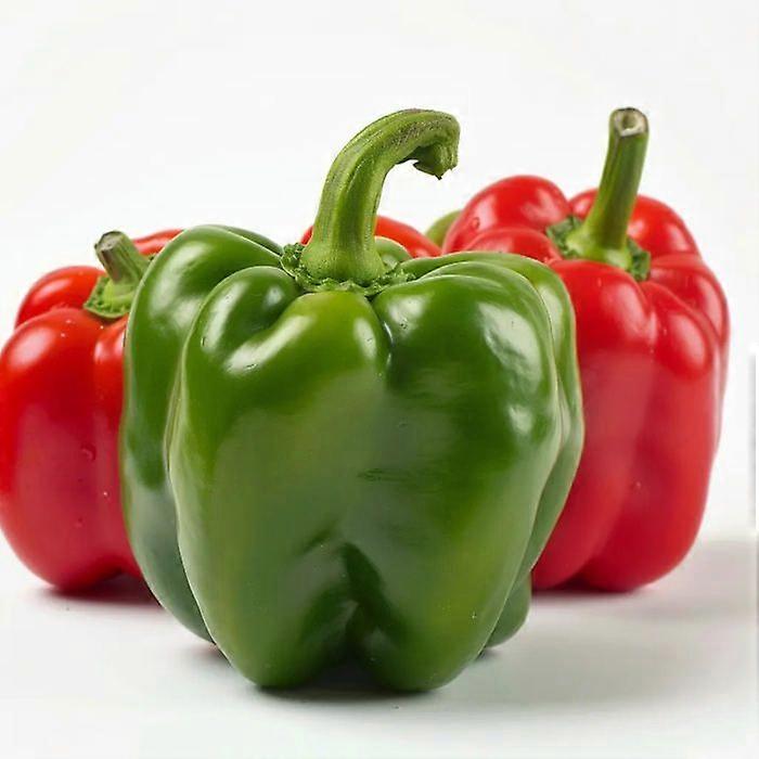 50 بذور فلفل كاليفورنيا العجائب - الزراعة المستدامة شبه البرية