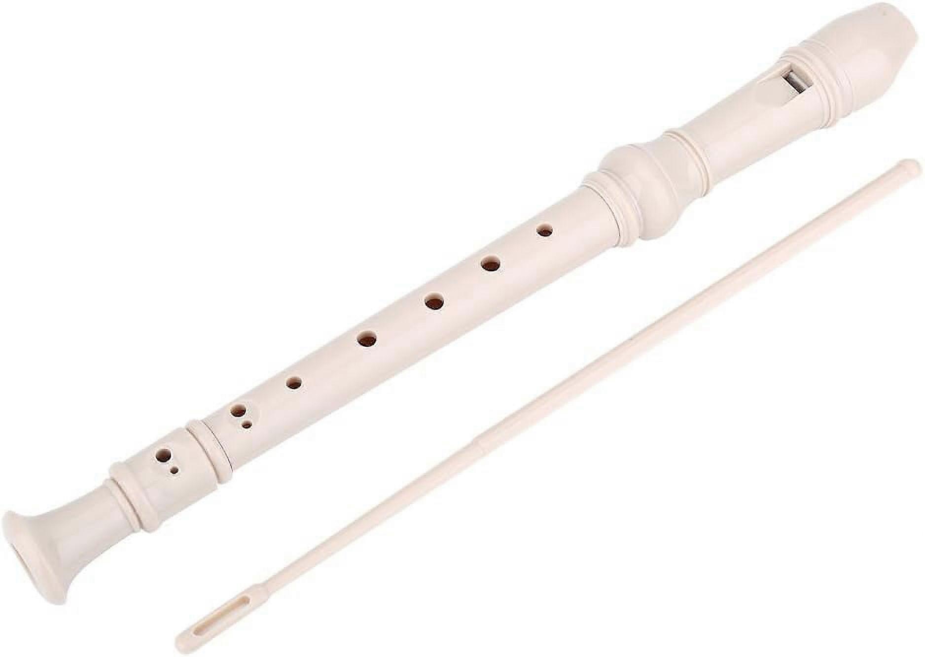 Recorder Instrument, 8-Hole High Pitch Soprano, Detachable with Cleaning Bar, ABS Plastic Flute for Kids & Adults Beginners (1#)