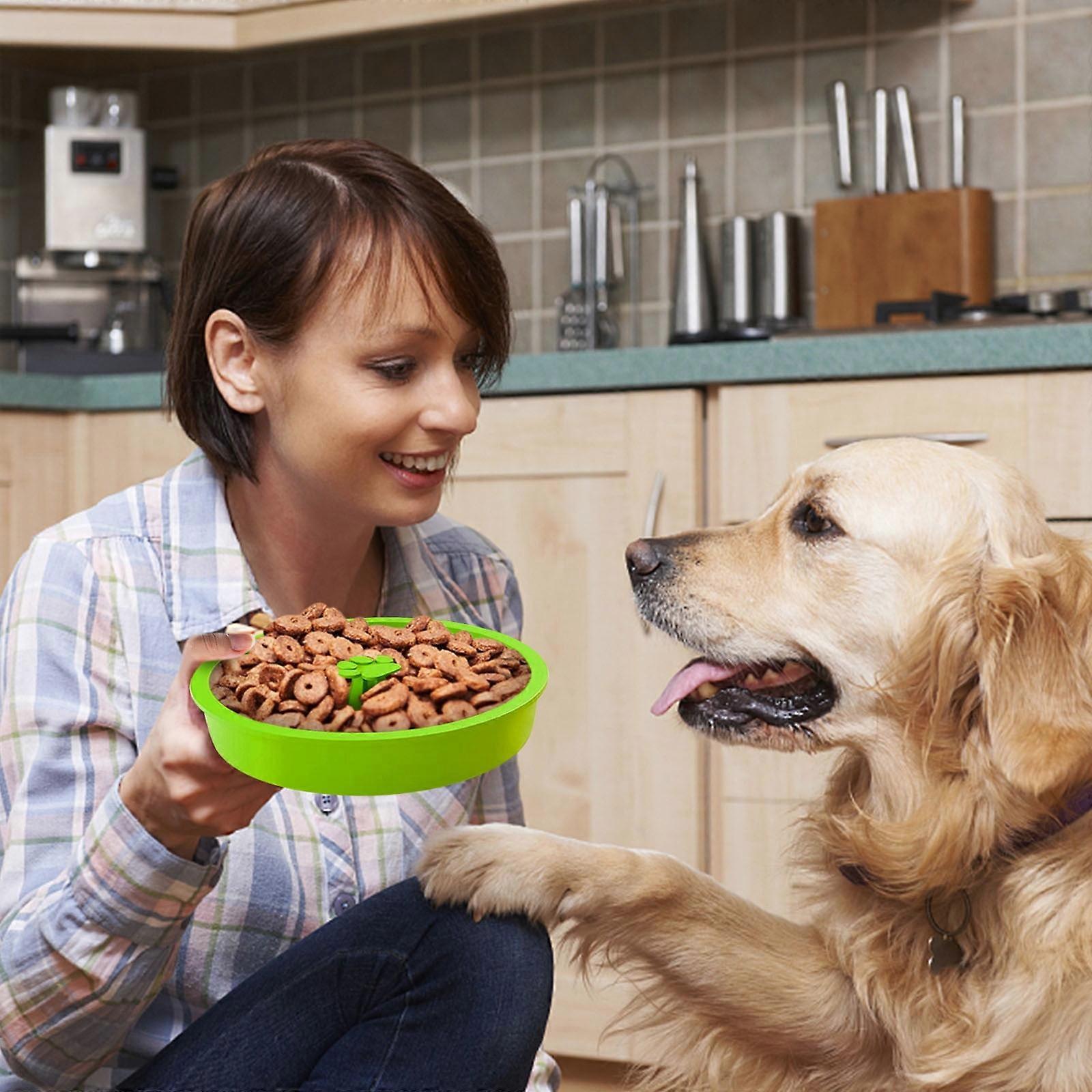 Slow Feed Dog Bowl Insert Interactive Puzzle Maze Feeder For Fast Eaters Prevents Gulping And Vomiting