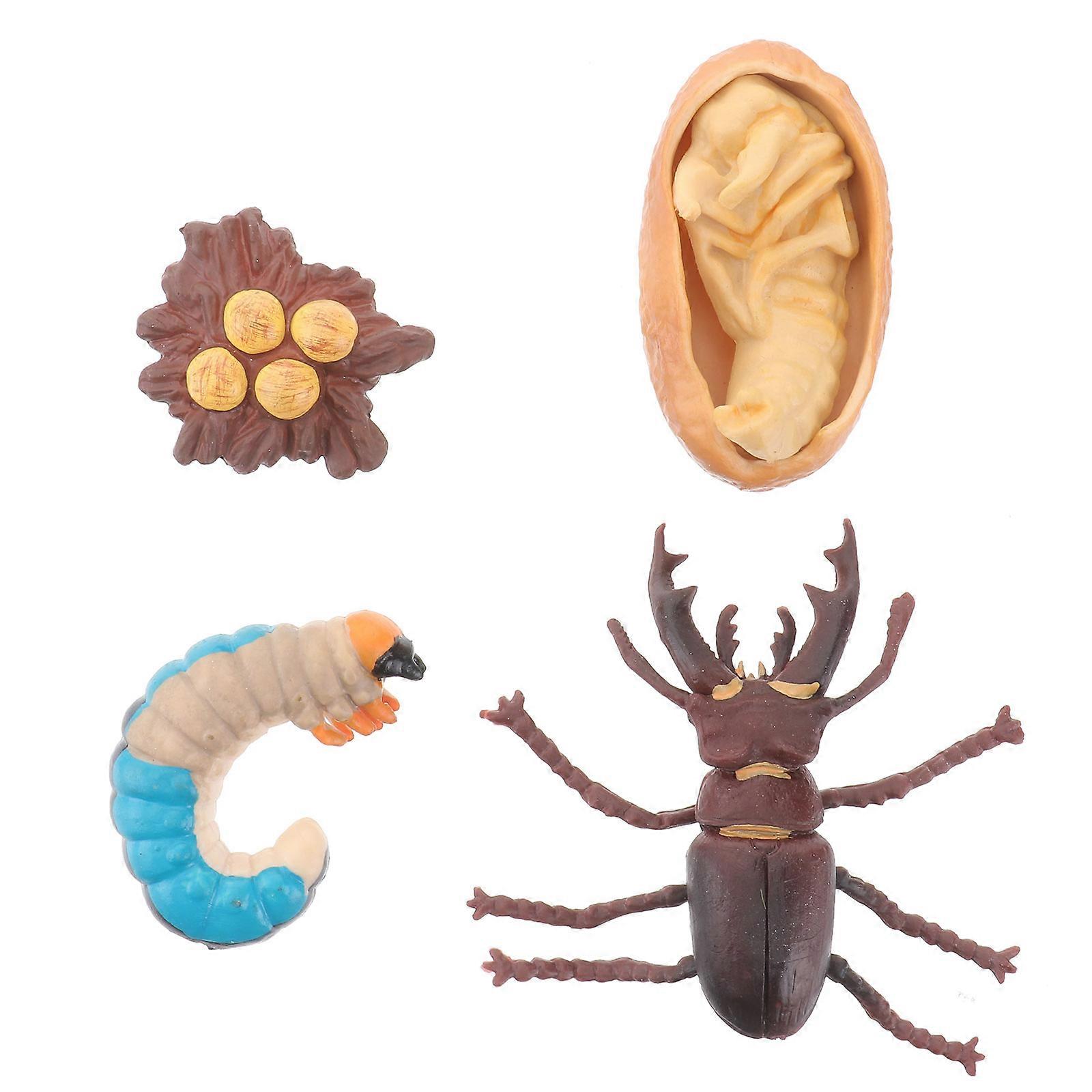 Model Simulation Model for Kids Playing 1Set Science Toys