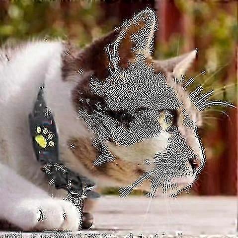 25-26 Smart Gps Cat And Dog Collar Tracker