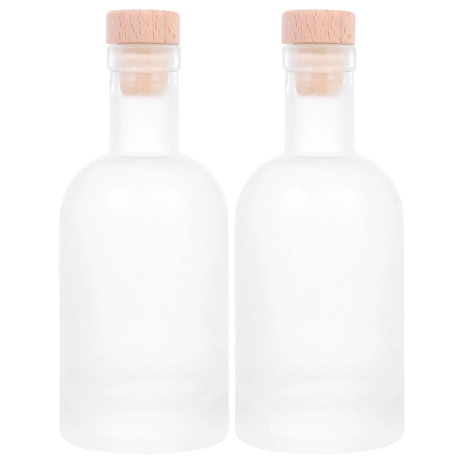 2Pcs Bottles Empty Bottles Fruit Bottles DIY Ice Bottles Drink Bottles