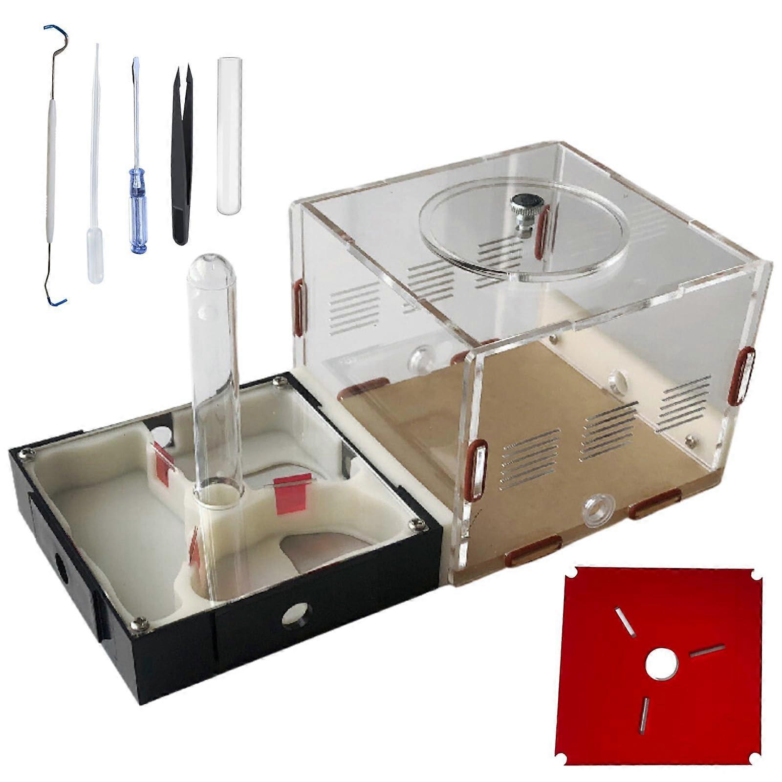 Science Learning Kit with Transparent Habitat for RealTime Ant Observation