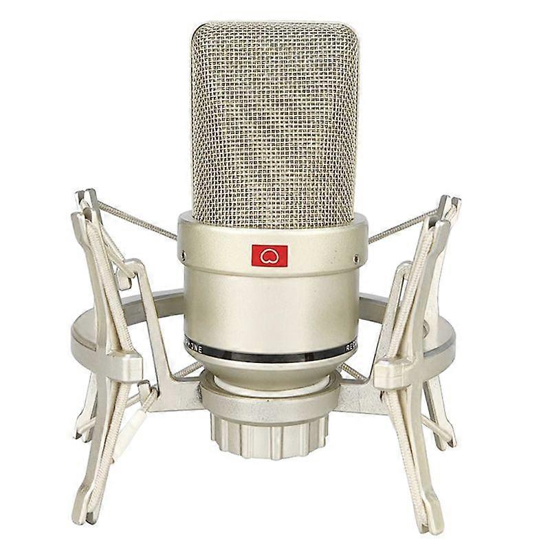 Condenser Microphone Studio for PC Laptop Computer Mic Karaoke