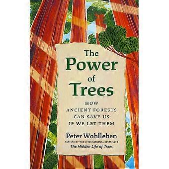 The power of trees how ancient forests can save us if we let them