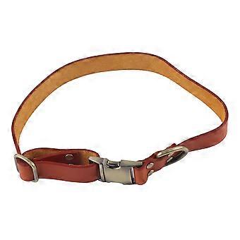 Hundehalsband aus Leder Weich gepolstertes Haustierhalsband aus Leder mit gravierter Schnalle für kleine, mittelgroße, Katzen und HundeOrange 26?42cm / 10.2?16.5in