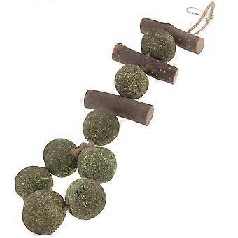 Hamster Chew Toys Wooden Pet Teething Toys for Parrot Natural Material