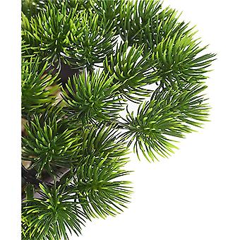 nano zahnbürste bambus GreenBrush Bambus Zahnbürsten – GALORYA