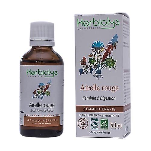 Gemmo Organic Lingonberry 50 ml