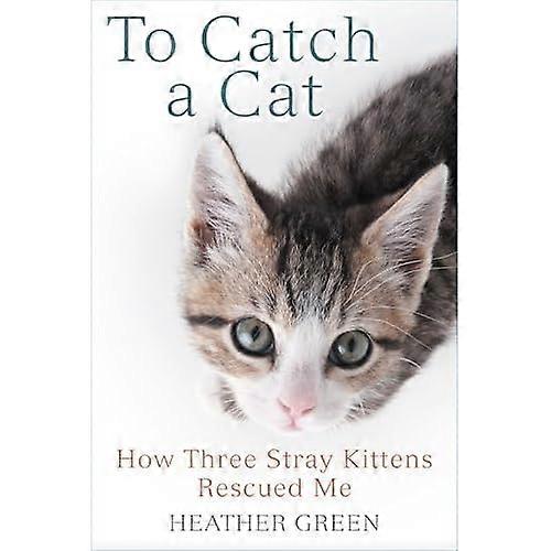 To Catch a Cat: How Three Stray Kittens Rescued Me