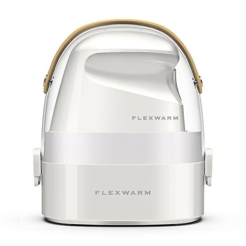 Portable Mini Handheld Steam Iron From Travel Ironing Machine 220v