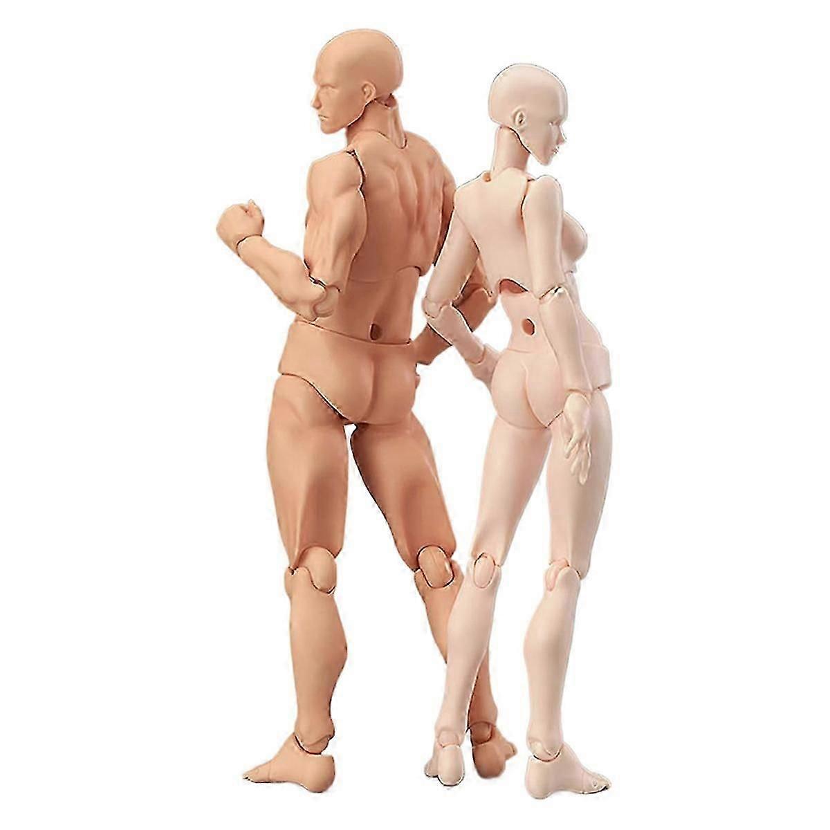 Jointed Action Figure Model for Stop Motion and Drawing A