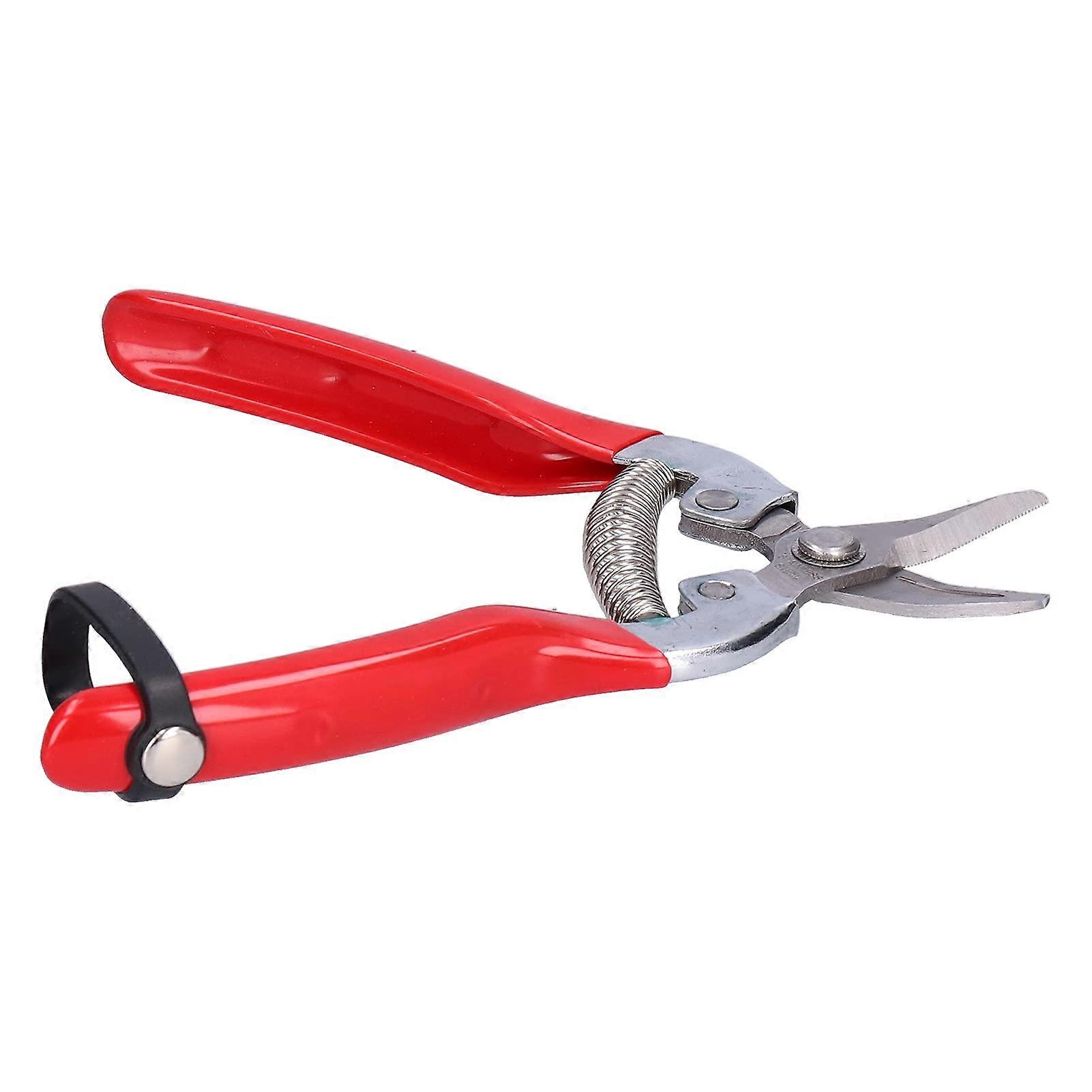 Pruning shears, garden shears, fruitpicking shears with sharp stainless steel blades and handles for cutting stems and branches.