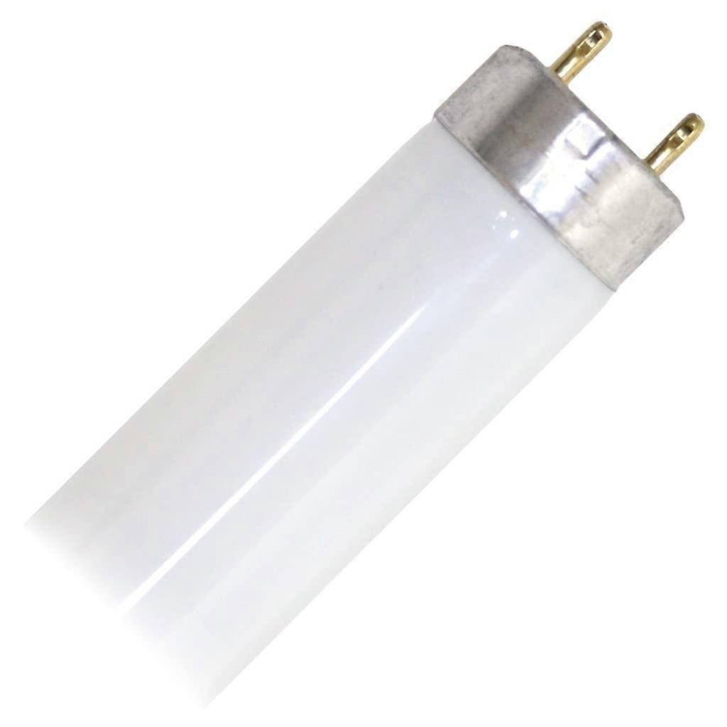 22179 FO28/841/XP/SS/ECO T8 Fluorescent Tube Light Bulb 28W 4 Feet Daylight 4100K Energy Efficient