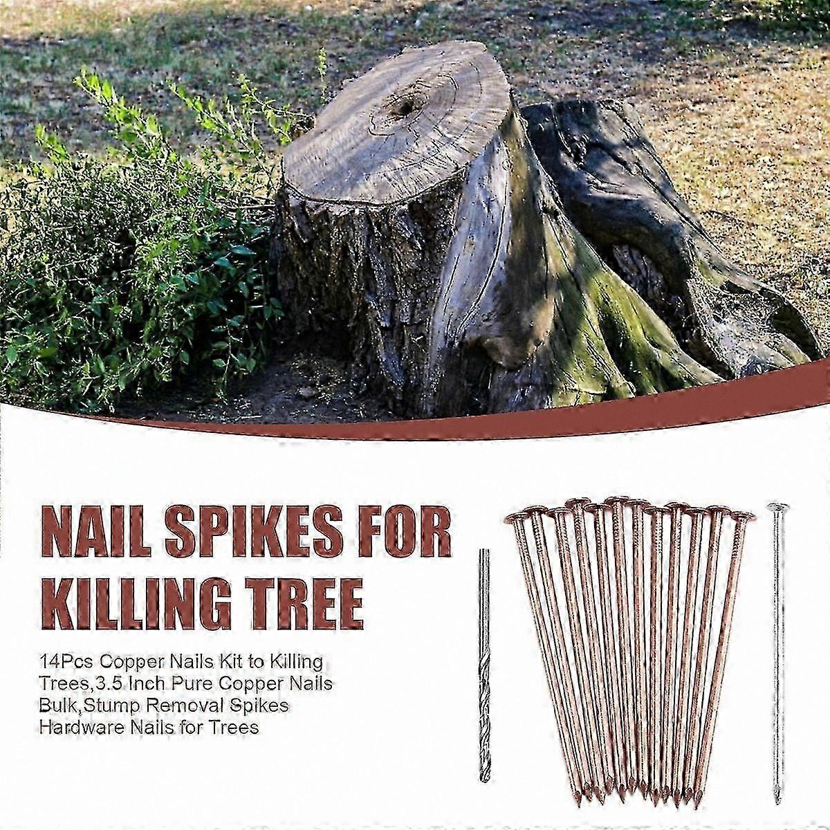 2025 Tree Management Copper Nails Kit, 3.5 Inch High-Quality Copper Nails Bulk Supply