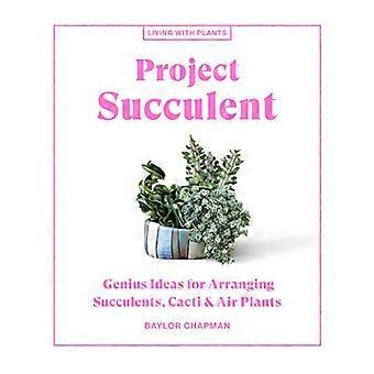 Project Succulent Genius Ideas for Arranging Succulents Cacti & Air Plants