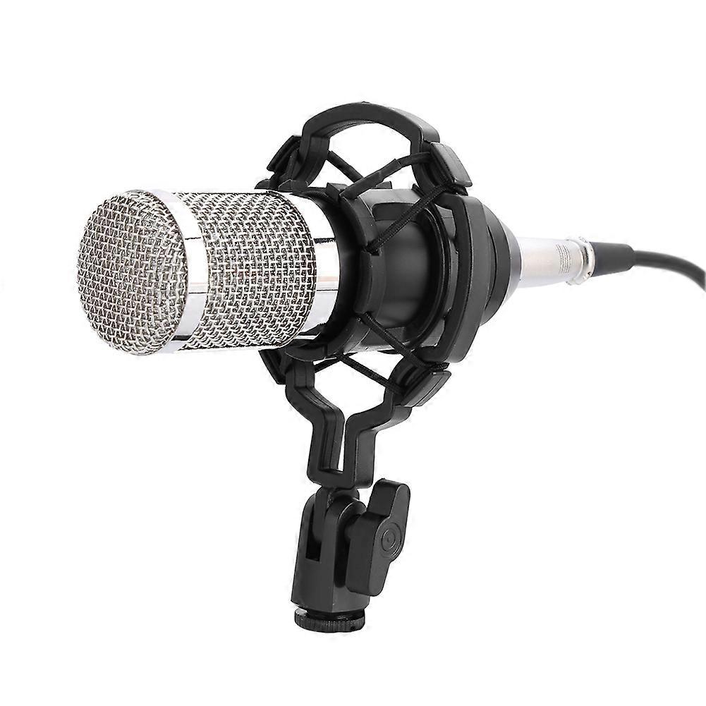 Professional Audio Condenser Microphone Set Studio Sound Recording Mic with Shock Mount