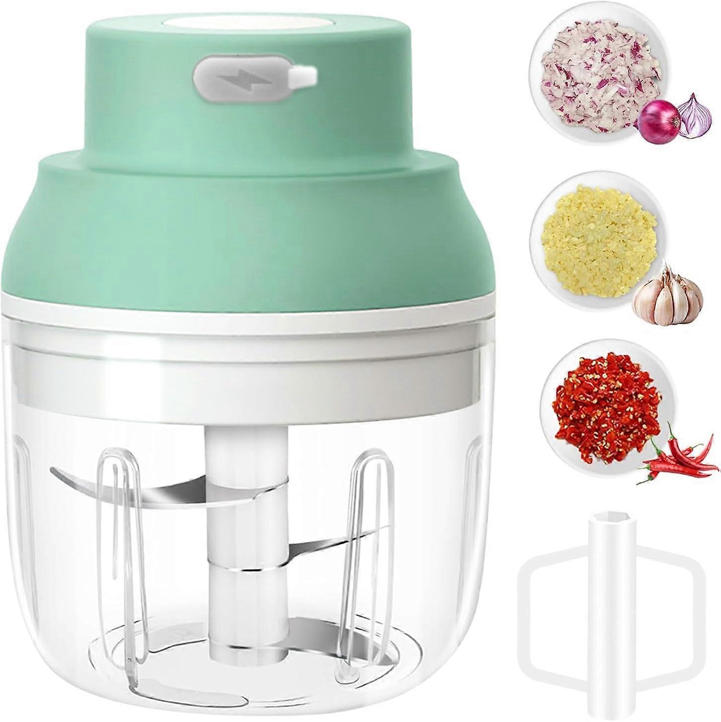 Electric Garlic Chopper 250ML, Onion Chopper, USB Portable Small Food Processor