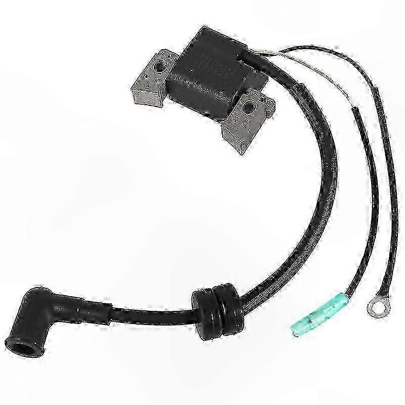 Boat Engine Ignition Coil Assembly for 4-Stroke 6HP F4L F4S F6 Models